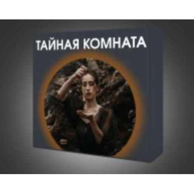 Тайная комната. Дарья Мэджик