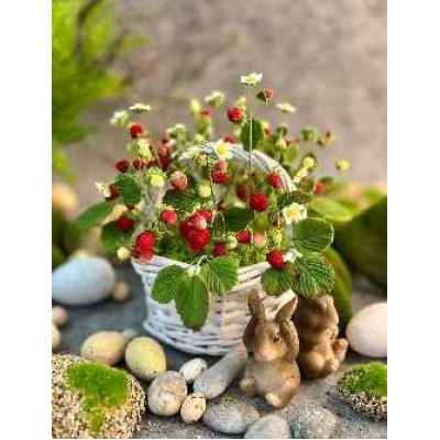 Пасхальные фигурки из мастики. Николай Гагарин, Артем Валентинов Gift Cookies Пасхальные фигурки из мастики. Николай Гагарин, Артем Валентинов Gift Cookies