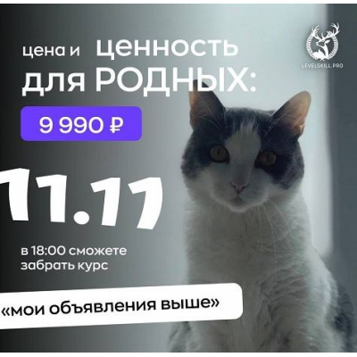 Мои объявления выше. Владимир Шамо Мои объявления выше. Владимир Шамо