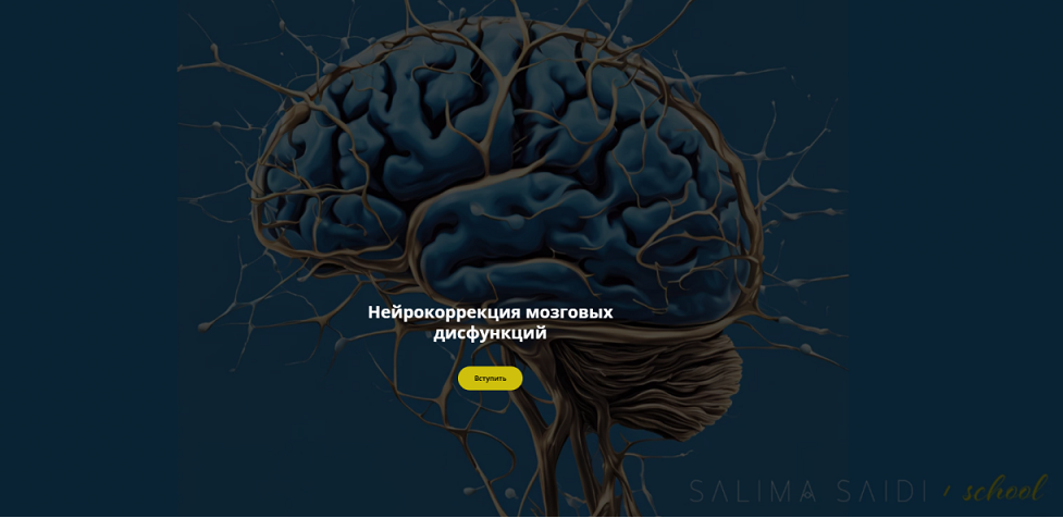 Нейрокоррекция мозговых дисфункций. Декабрь 2024 (Салима Саиди) Нейрокоррекция мозговых дисфункций. Декабрь 2024 (Салима Саиди)