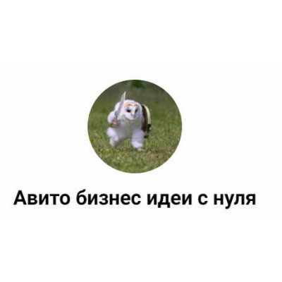 Обучение по авито и профессии авитолог. Авито бизнес идеи с нуля Обучение по авито и профессии авитолог. Авито бизнес идеи с нуля