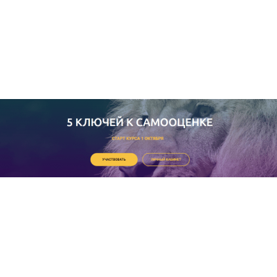 5 ключей к самооценке. Полина Тур 5 ключей к самооценке. Полина Тур