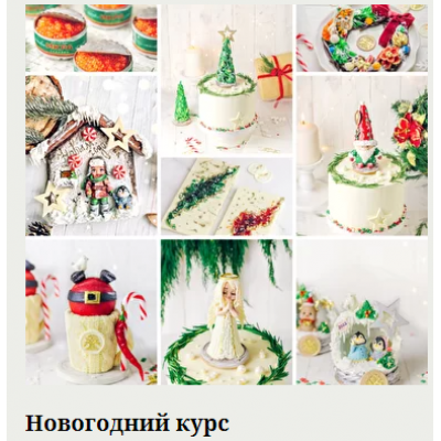 Новогодний курс. Екатерина Завирюха