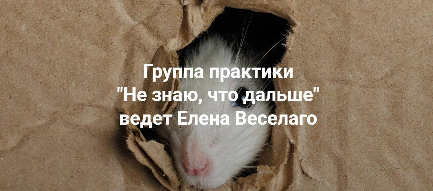 [Институт открытого поля] Елена Веселаго ― Не знаю, что дальше (2024)