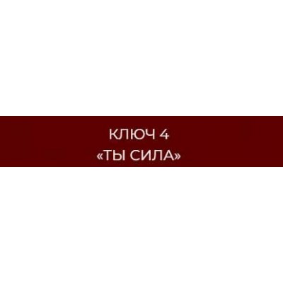 13 ключей к силе. Ключ 4 Ты сила. Владислав Череватый 13 ключей к силе. Ключ 4 Ты сила. Владислав Череватый