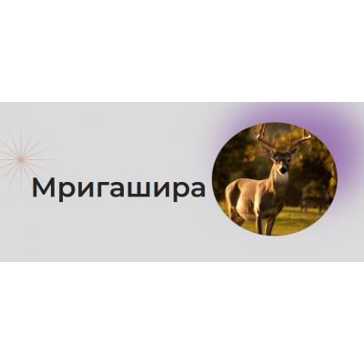 Накшатра Мригашира. Анна Воробьева Astrogreen Накшатра Мригашира. Анна Воробьева Astrogreen