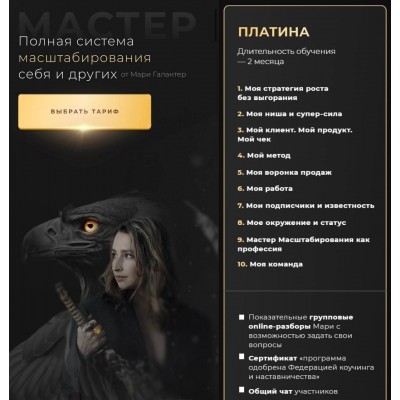 Мастер. Полная система масштабирования себя и других. Мари Галантер Мастер. Полная система масштабирования себя и других. Мари Галантер
