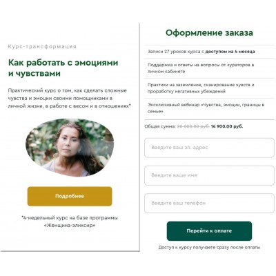 Как работать с эмоциями и чувствами. Надя Андреева Как работать с эмоциями и чувствами. Надя Андреева