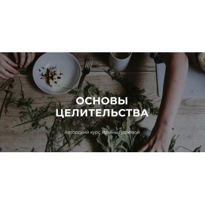 Основы целительства. Ирина Гудаева Основы целительства. Ирина Гудаева