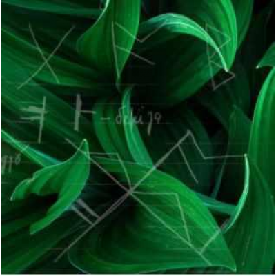 Активация рунических ставов Мудрость Одина и Лад в семье. Велимира Бронислав Активация рунических ставов Мудрость Одина и Лад в семье. Велимира Бронислав