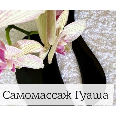 Гуаша для лица и зоны декольте. Наталья Андерсон Гуаша для лица и зоны декольте. Наталья Андерсон