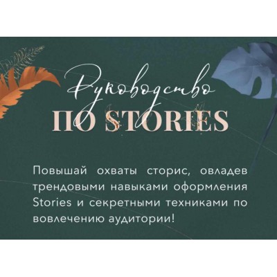 Руководство по stories. Lite-версия. Катерина Алешина Руководство по stories. Lite-версия. Катерина Алешина