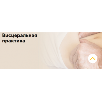 Продление жизни с помощью висцеральной практики. Александр Огулов Продление жизни с помощью висцеральной практики. Александр Огулов