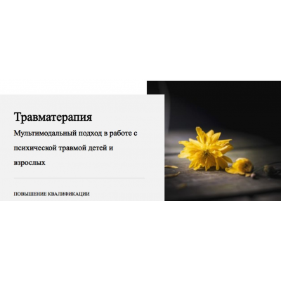 Травматерапия. Мультимодальный подход в работе с психической травмой детей и взрослых. Все 10 модулей. Виктория Унтерова Травматерапия. Мультимодальный подход в работе с психической травмой детей и взрослых. Все 10 модулей. Виктория Унтерова