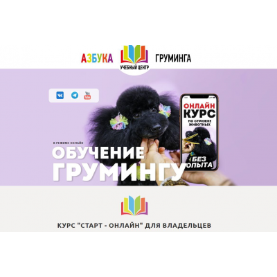 Обучение грумингу. Старт-онлайн. Тариф для дома. Дарья Казимова, Азбука Груминга Обучение грумингу. Старт-онлайн. Тариф для дома. Дарья Казимова, Азбука Груминга