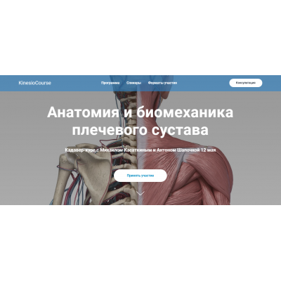 Анатомия и биомеханика плечевого сустава. Михаил Касаткин, Антон Шапочка kineziocourse Анатомия и биомеханика плечевого сустава. Михаил Касаткин, Антон Шапочка kineziocourse